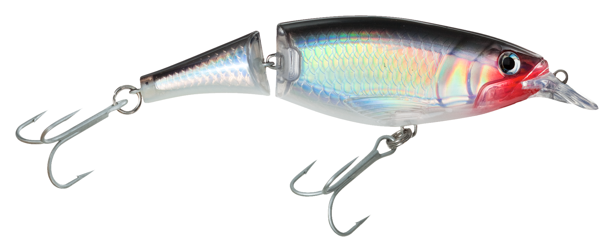 Rapala X-Rap Jointed Shad | Bass Pro Shops